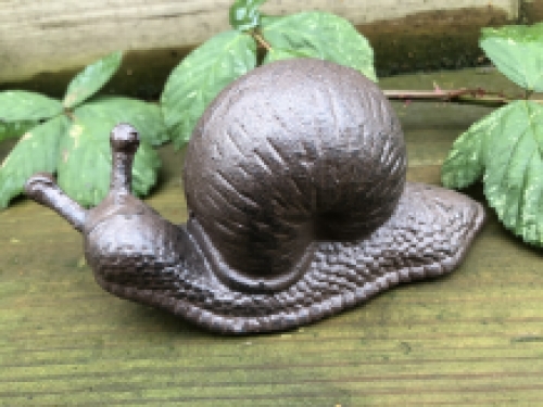 Gusseisen Schnecken braun