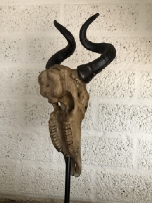Beautiful carved skull on metal stand, beautiful design!