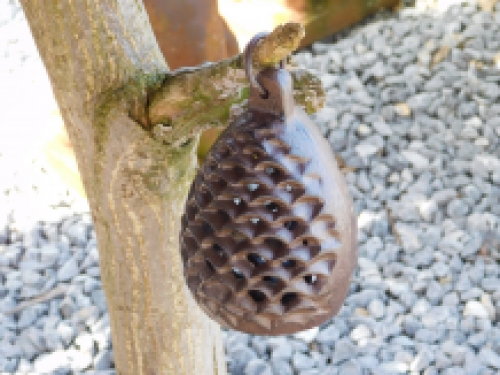 Lantern as a pine cone, tea light holder, pine cone as storm light, like antiques