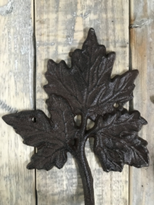 Coat hook in set, cast iron coat rack in antique brown as (2x) oak and maple