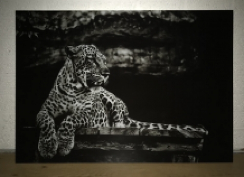Beautiful art on glass of a lying leopard / panther, black and white, very beautiful!