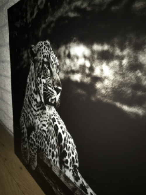 Beautiful art on glass of a lying leopard / panther, black and white, very beautiful!
