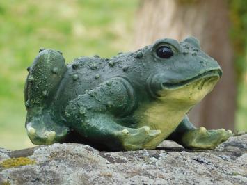 Ein lustiger und dekorativer Frosch aus Polystein