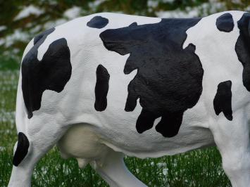 Kuh mit Hörnern - L - Polystone - Detailliert