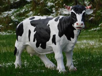 Cow with Horns - L - Polystone - Detailed