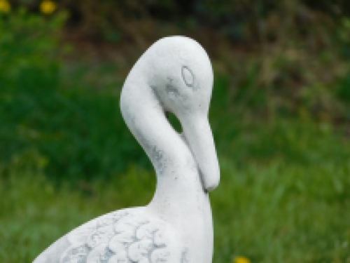 Beeld kraanvogel - vol steen