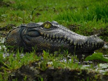 Krokodilkopf - 35 cm - Polystone