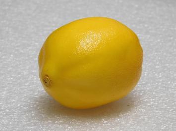 Artificial Lemon – Decorative Artificial Fruit
