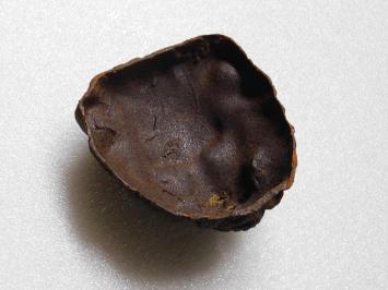 Lion's head - Water spout - 20 cm - Cast iron