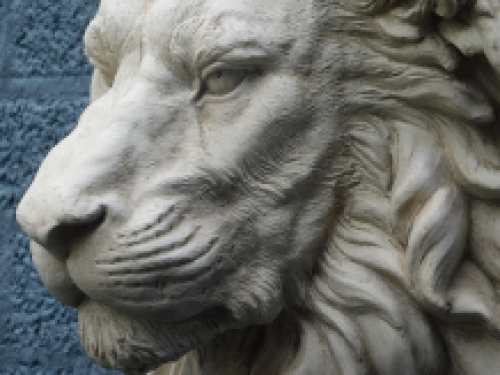 Large beautiful impression full lion head, polystein.