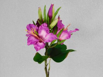Künstliche Blume Lilienzweig - Lila - 74 cm