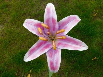 Handmade Lily - garden stick 125 cm - metal