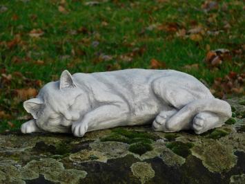 Beeld Liggende Poes - Steen - voor Binnen en Buiten