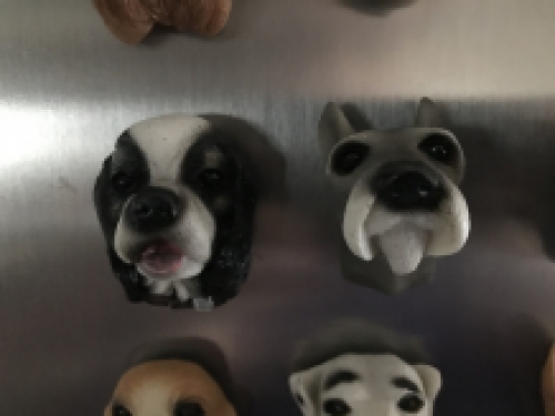 Fridge magnets, 12 dogs as a nice decoration