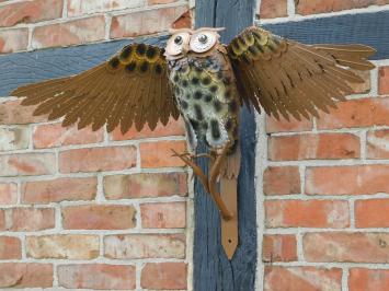 Sculptuur Uil XL - Wanddecoratie - Metaal