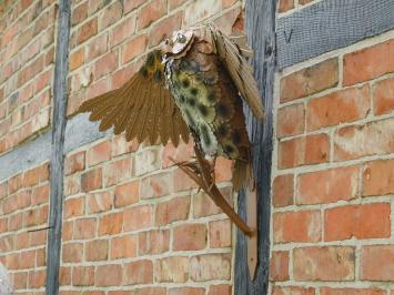 Sculptuur Uil XL - Wanddecoratie - Metaal
