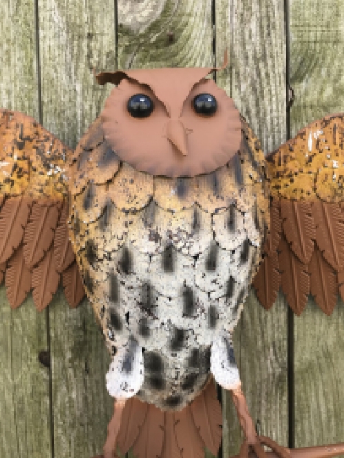 Owl on Branch - Brown - Metal