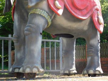 Eenmalig: Olifant XXL - 340 x 400 cm - Uniek Beeld