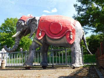Eenmalig: Olifant XXL - 340 x 400 cm - Uniek Beeld