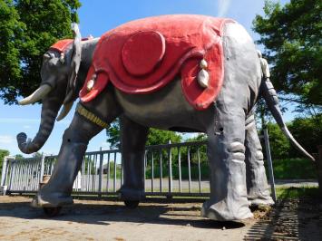 Eenmalig: Olifant XXL - 340 x 400 cm - Uniek Beeld