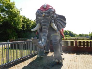 Eenmalig: Olifant XXL - 340 x 400 cm - Uniek Beeld
