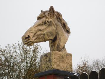 Eenmalig: XL Paardenhoofd van Polystone - Goudkleurig 