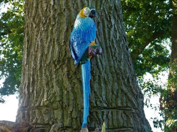 Blue Parrot XL - Cast iron - Colourful Wall Decoration