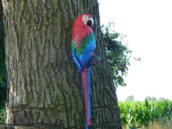 Roter Papagei XL - Gusseisen - Bunte Wanddekoration