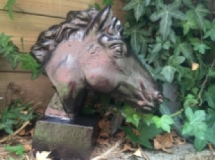 1 horse cast iron head, in rust-optic black