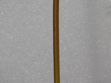 Künstliche Blume Rosenstahl - Gelb - 71 cm