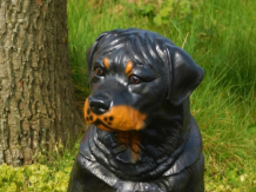 Beeld Rottweiler XL - polystone 