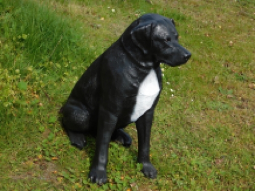 Prachtige ''Rottweiler'' zwart/wit - van Polystone