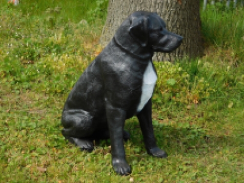 Schöner ''Rottweiler'' schwarz und weiß - aus Polystone