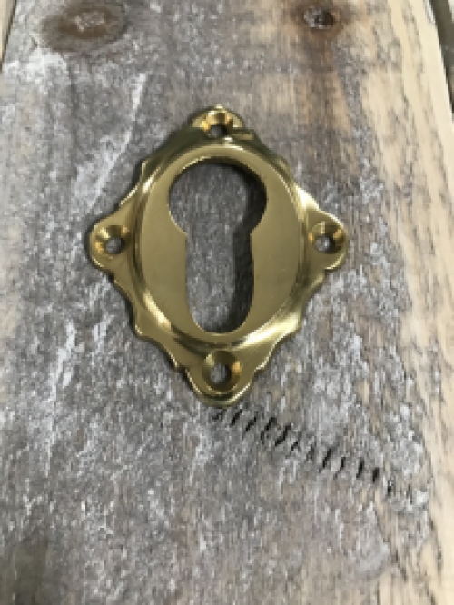 Lock rose PZ - front door rose - polished brass