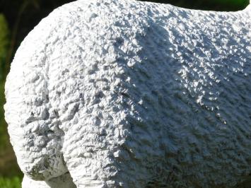 Schafskulptur – 45 x 55 cm – Polystone
