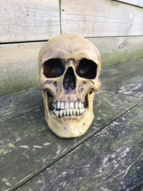 Dekorativer Totenkopf - Totenkopf - Polystone - 23 cm