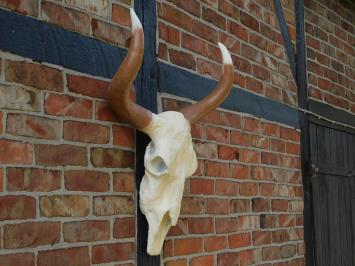 Large Bull Skull - 70 cm - Polystone