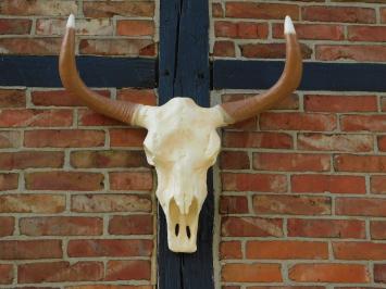 Large Bull Skull - 70 cm - Polystone