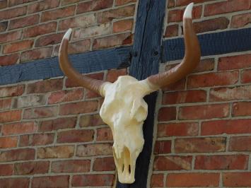 Large Bull Skull - 70 cm - Polystone