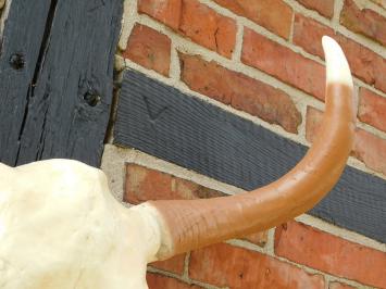 Large Bull Skull - 70 cm - Polystone