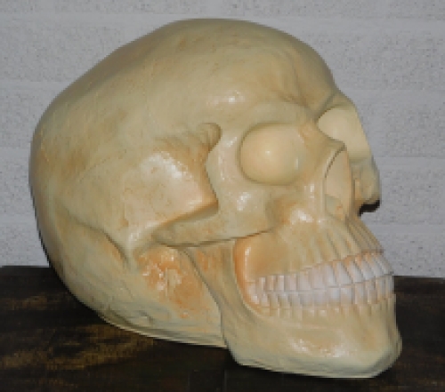 Skull XL - polystone - huge skull