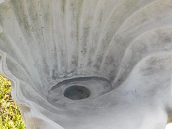 Statue Shell - 40 cm - Stone