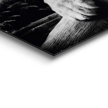 Schilderij Tijger - 90 x 60 - Zwart Wit