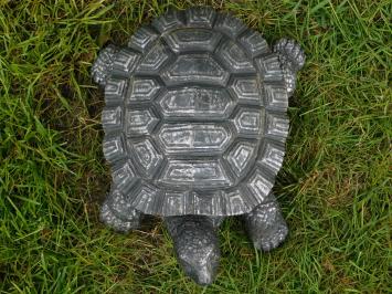 Statue turtle - 32 cm - Magnesia