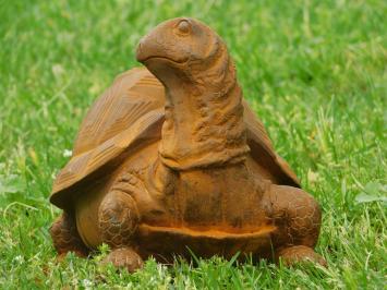 Cast iron Turtle statue - detailed