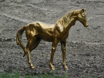 Sculptuur paard - goud - alu