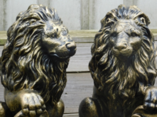 Set van 2 Leeuwen - Zwart/Goud - Polystone