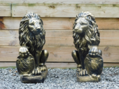 Set van 2 Leeuwen - Zwart/Goud - Polystone