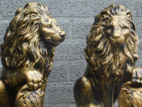 Set van 2 Leeuwen - Zwart/Goud - Polystone