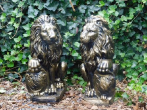 Set van 2 Leeuwen - Zwart/Goud - Polystone